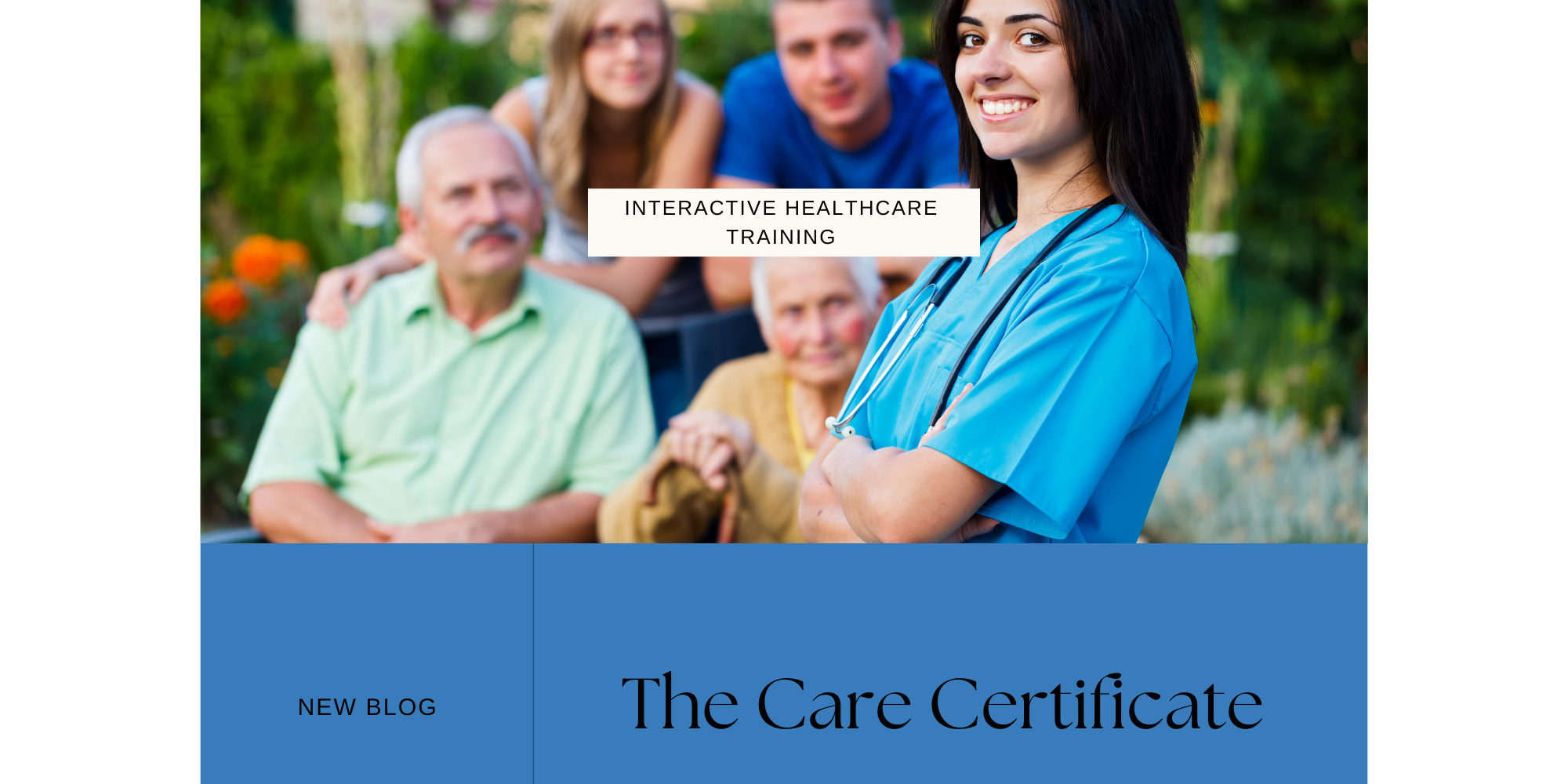 The Care Certificate The Care Certificate training